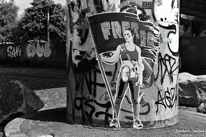 Bernhard Saalfeld - Freedom Fighter